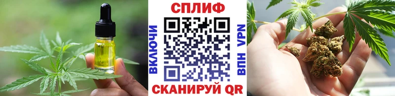 Cannafood конопля  продажа наркотиков  Ялуторовск 