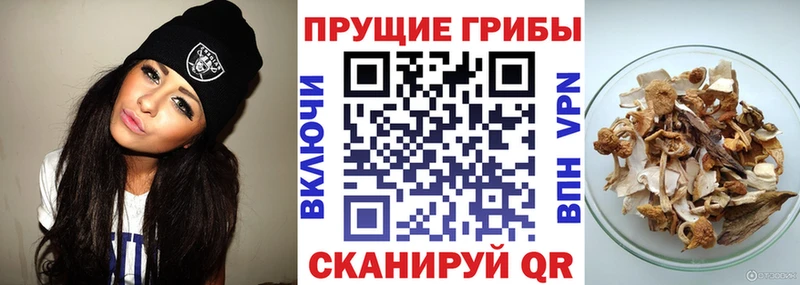 Галлюциногенные грибы мицелий Ялуторовск
